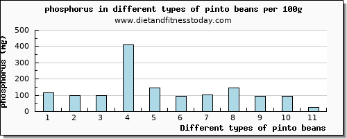 pinto beans phosphorus per 100g
